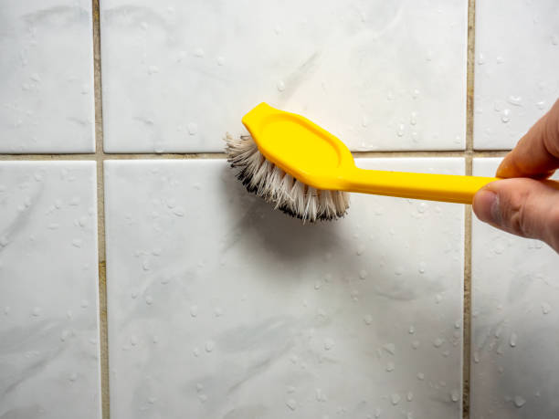 Best Fast Mold Removal  in La Puente, CA