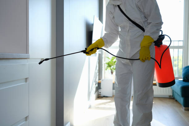 Best Toxic Mold Removal  in La Puente, CA