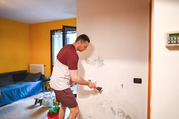 Mold Testing and Removal in La Puente, CA